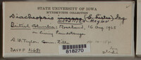 Image Associated With the Occurence